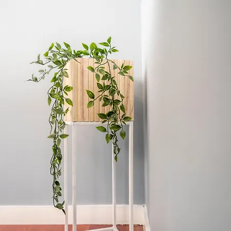 Brand-new 2bd In Heart Of 0 Min To Downtown *