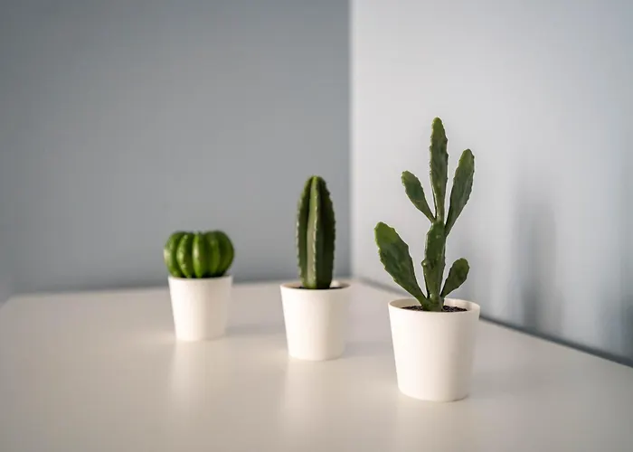 Apartament Brand-new 2bd In Heart Of 0 Min To Downtown