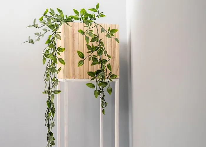 Brand-new 2bd In Heart Of 0 Min To Downtown *